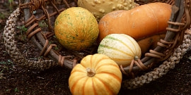 おいしい野菜作り