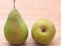 セイヨウナシの実・写真3