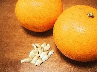 ハッサクの実・写真3