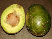 アボカドの実・写真3