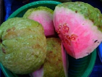 グァバの実・写真3