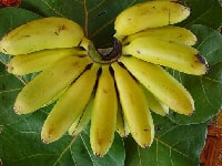 バナナの実・写真3