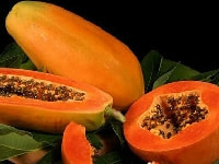 パパイヤの実・写真3