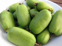 サルナシの実・写真3