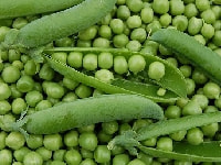 エンドウ・写真3