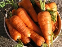 ニンジン・写真3