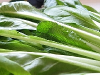 コマツナ・写真3