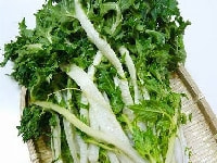 キョウナ・写真3