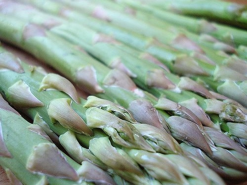 家庭菜園アスパラガスの育て方 栽培方法 家庭菜園アスパラガスの育て方 栽培方法