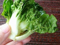 チンゲンサイの葉・写真3