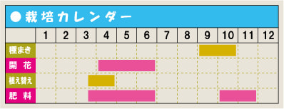 栽培カレンダー・ネモフィラ