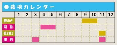 栽培カレンダー・ワスレナグサ
