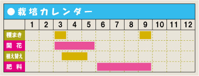 栽培カレンダー・ディモルホセカ