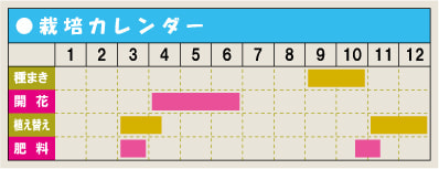 栽培カレンダー・ディモルホセカ