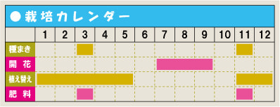栽培カレンダー・ダイアンサス