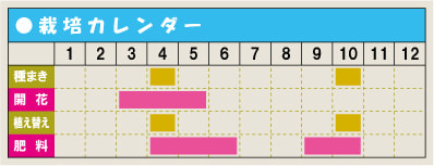 栽培カレンダー・ラミウム