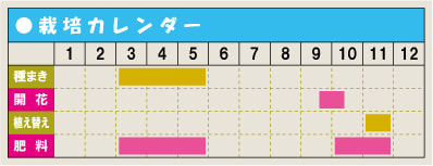 栽培カレンダー・クリサンセマム