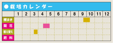 栽培カレンダー・ハナビシソウ