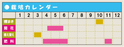 栽培カレンダー・スイートピー