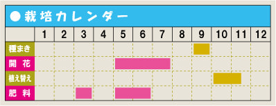 栽培カレンダー・デルフィ二ウム