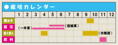 ポピー 育て方 増やし方 種まき 株分け 根挿し ポピー 育て方 増やし方 種まき 株分け 根挿し