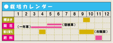 栽培カレンダー・ポピー