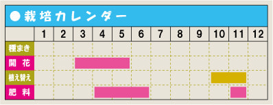 栽培カレンダー・シラン