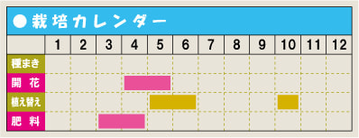 栽培カレンダー・ツルニチニチソウ