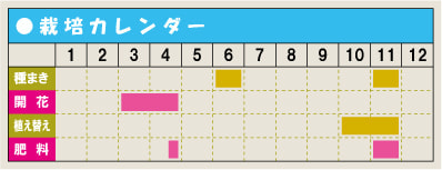 栽培カレンダー・アネモネ