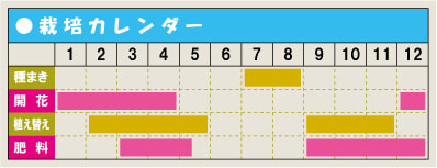 栽培カレンダー・スイセン