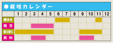 栽培カレンダー・フリチラリア
