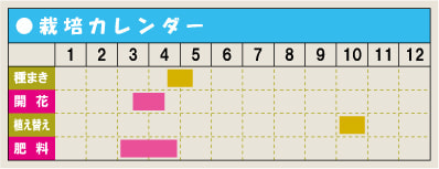 栽培カレンダー・スノーフレーク