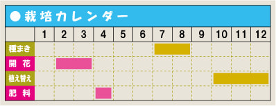 栽培カレンダー・スノードロップ