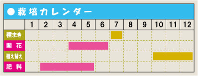栽培カレンダー・アリウム