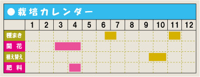 栽培カレンダー・ハナニラ