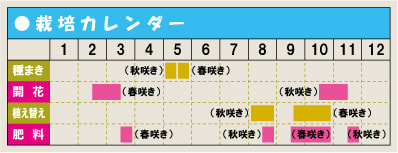 栽培カレンダー・クロッカス