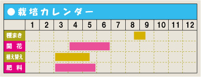 栽培カレンダー・ボロニア