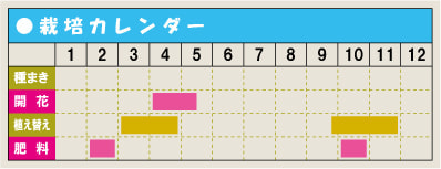 栽培カレンダー・シャクナゲ