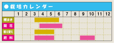 栽培カレンダー・ニコチアナ