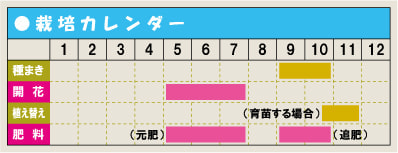 栽培カレンダー・ニゲラ