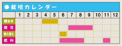 栽培カレンダー・ポーチュラカ