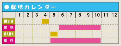 栽培カレンダー・ケイトウ