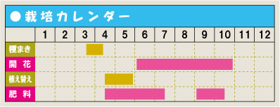 栽培カレンダー・ナスタチウム