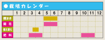 栽培カレンダー・セイヨウオダマキ