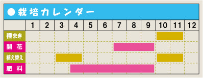栽培カレンダー・ギボウシ