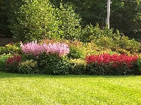 アスチルべ・写真1