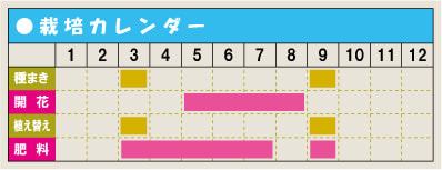 栽培カレンダー・アガパンサス
