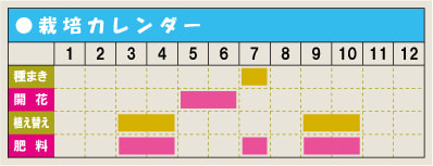 栽培カレンダー・ミヤコワスレ