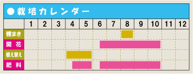 栽培カレンダー・ダリア