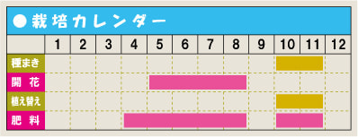 栽培カレンダー・ユリ
